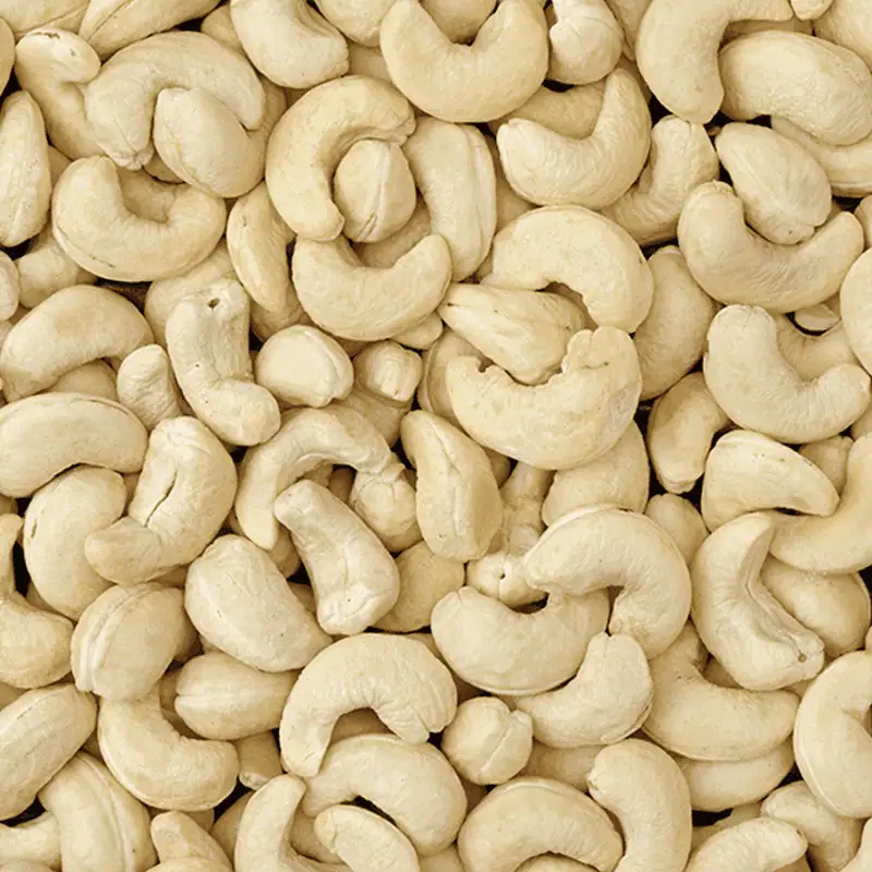 Cashew