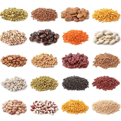 Pulses and Beans 500x500 1