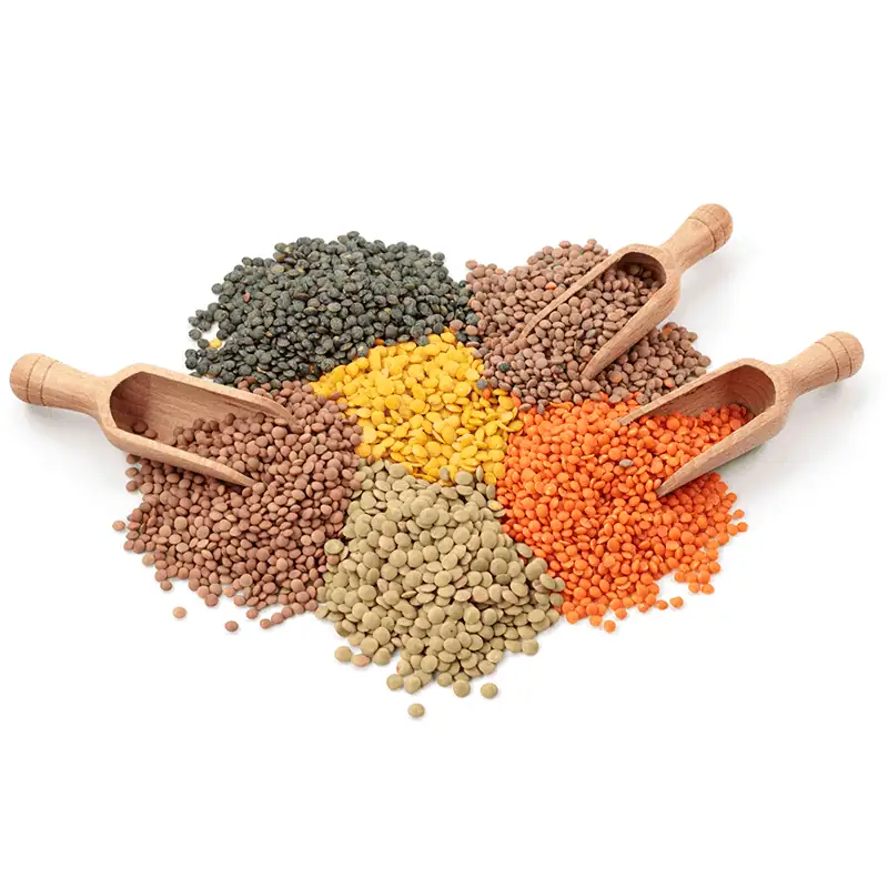 Pulses